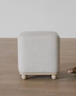 Arie Ottoman