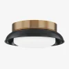 Arnie Flush Mount