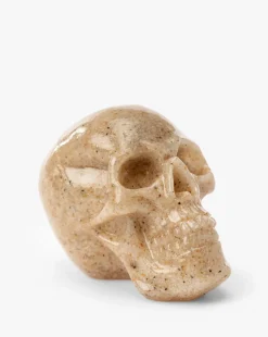 Assorted Resin Skulls (Boxed Set of 4)