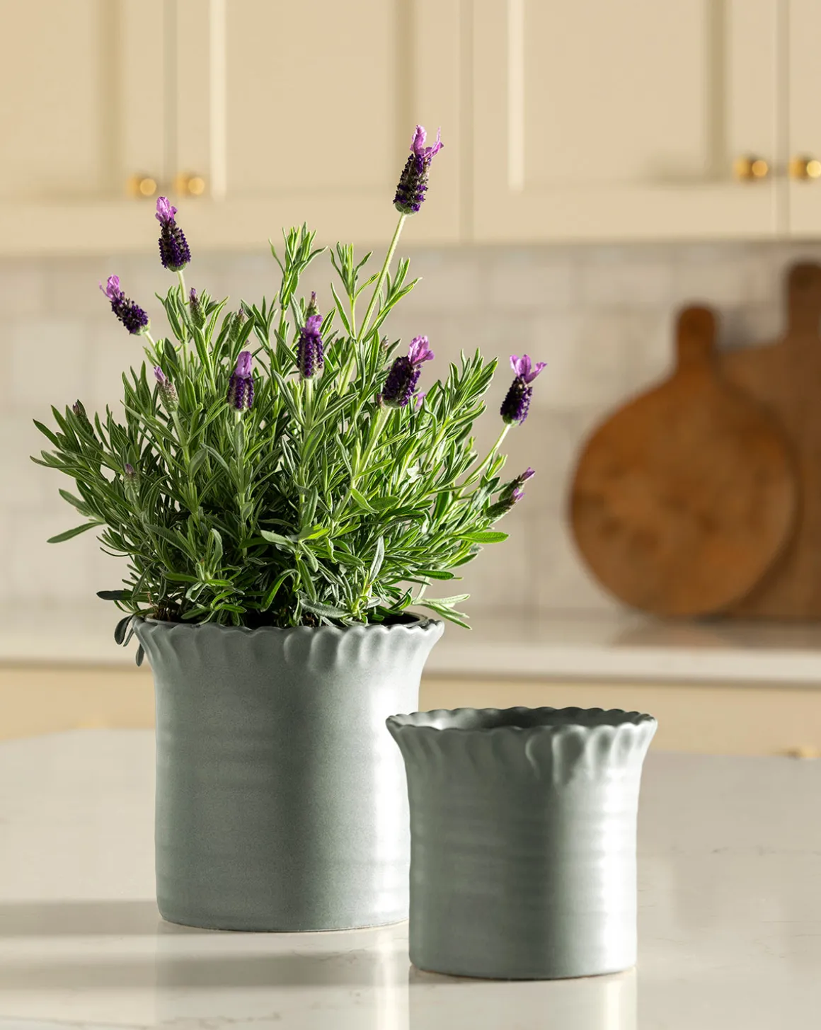 Blythe Pot