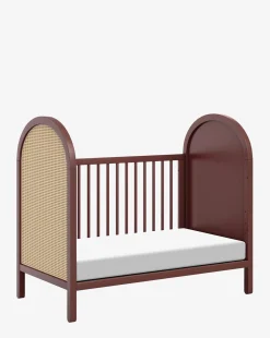 Bondi Cane 3-in-1 Convertible Crib with Toddler Bed Conversion Kit