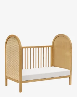 Bondi Cane 3-in-1 Convertible Crib with Toddler Bed Conversion Kit