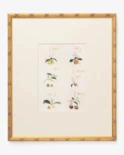 Botanical Grid 1