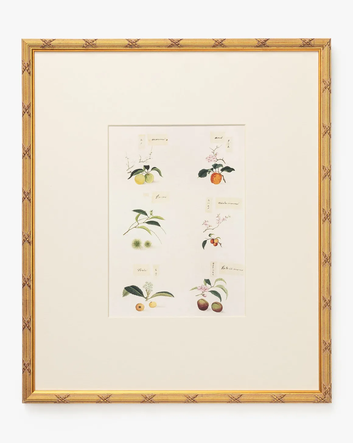 Botanical Grid 1