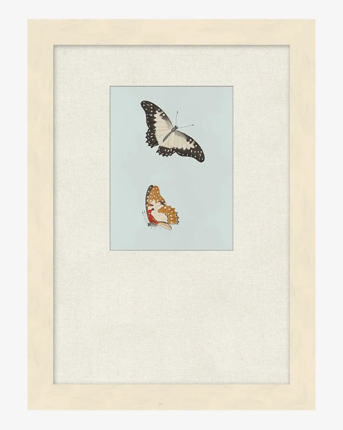 Butterflies Study II