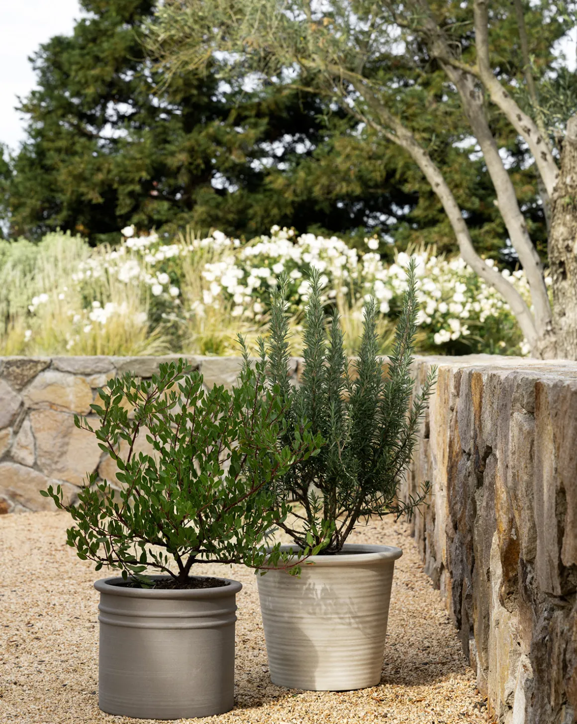 Canton Ceramic Planter