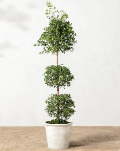 Canton Ceramic Planter