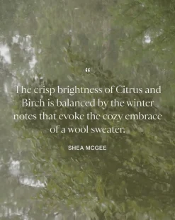 Citrus & Birch Diffuser