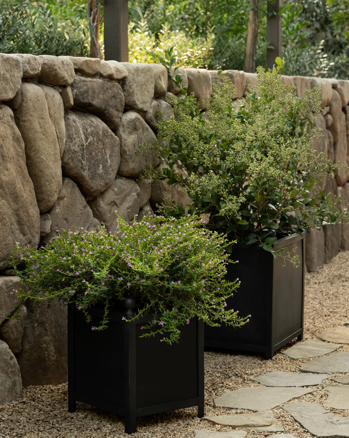 Clariance Planter