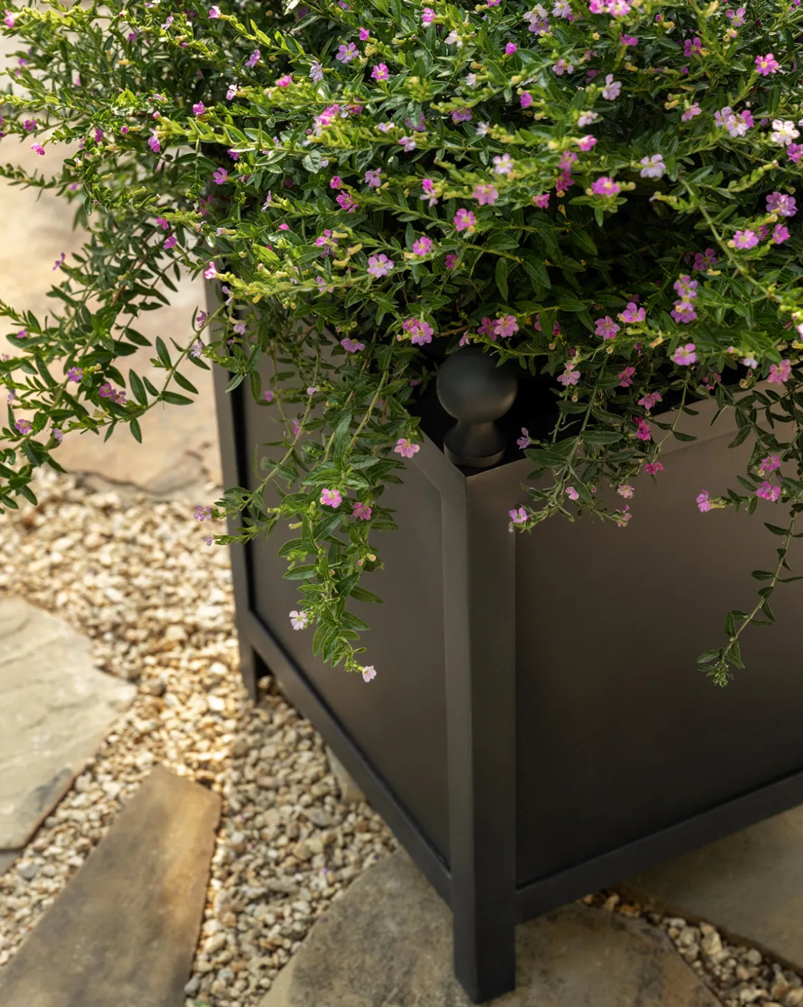 Clariance Planter