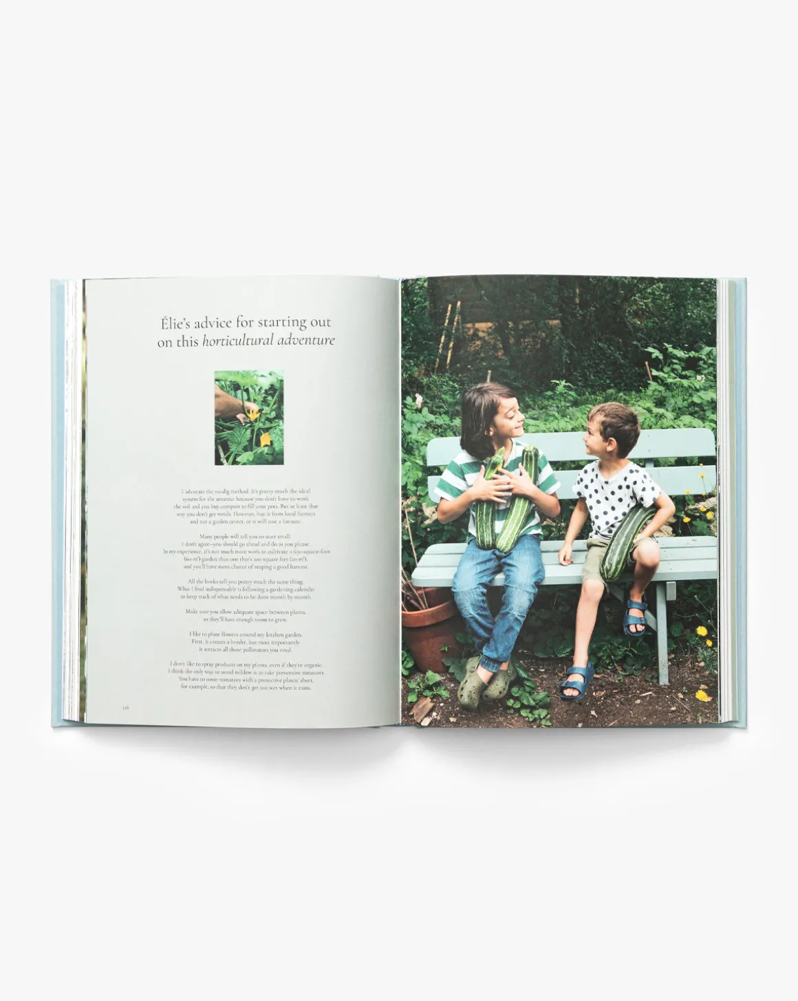 Coming Home to Nature: The French Art of Countryfication
