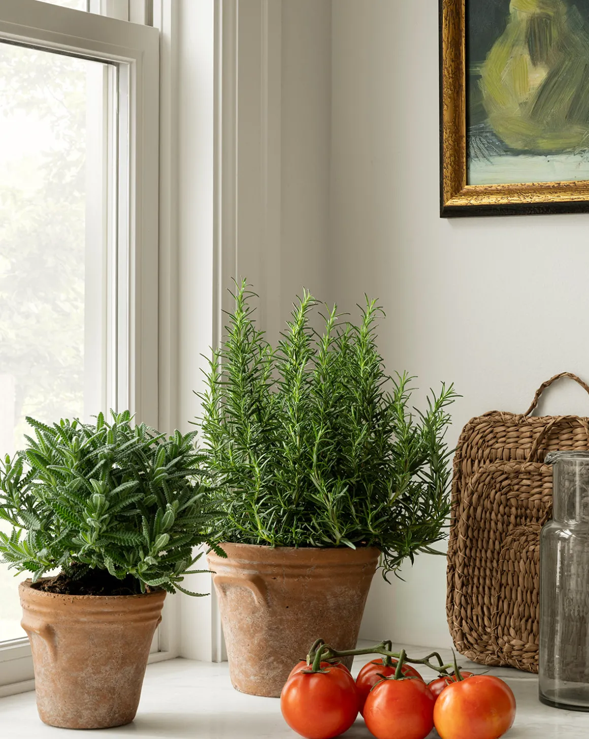 Cordelia Planter