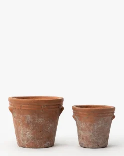 Cordelia Planter