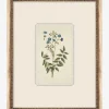 Delicate Floral l