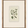 Delicate Floral lll