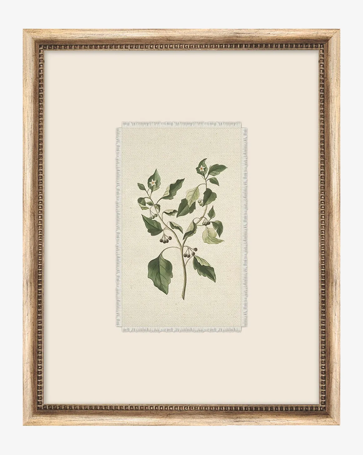 Delicate Floral lll