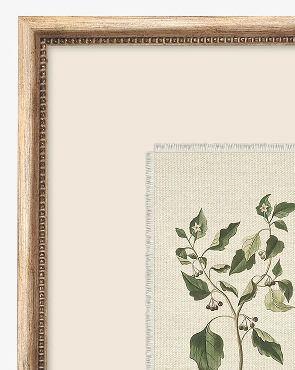 Delicate Floral lll