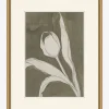 Delicate Tulip I by Rebekah Webb