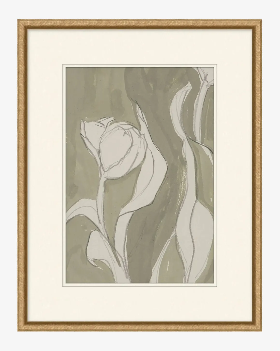 Delicate Tulip II by Rebekah Webb