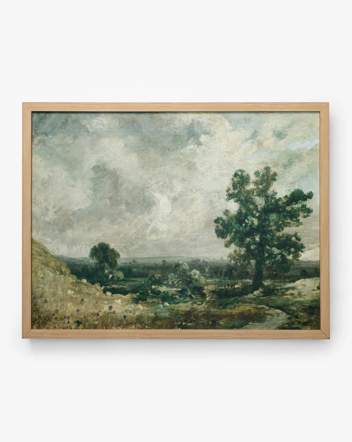 English Meadows