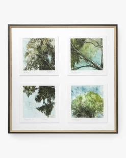 Eucalyptus Windows
