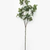 Faux Japanese Quince Stem