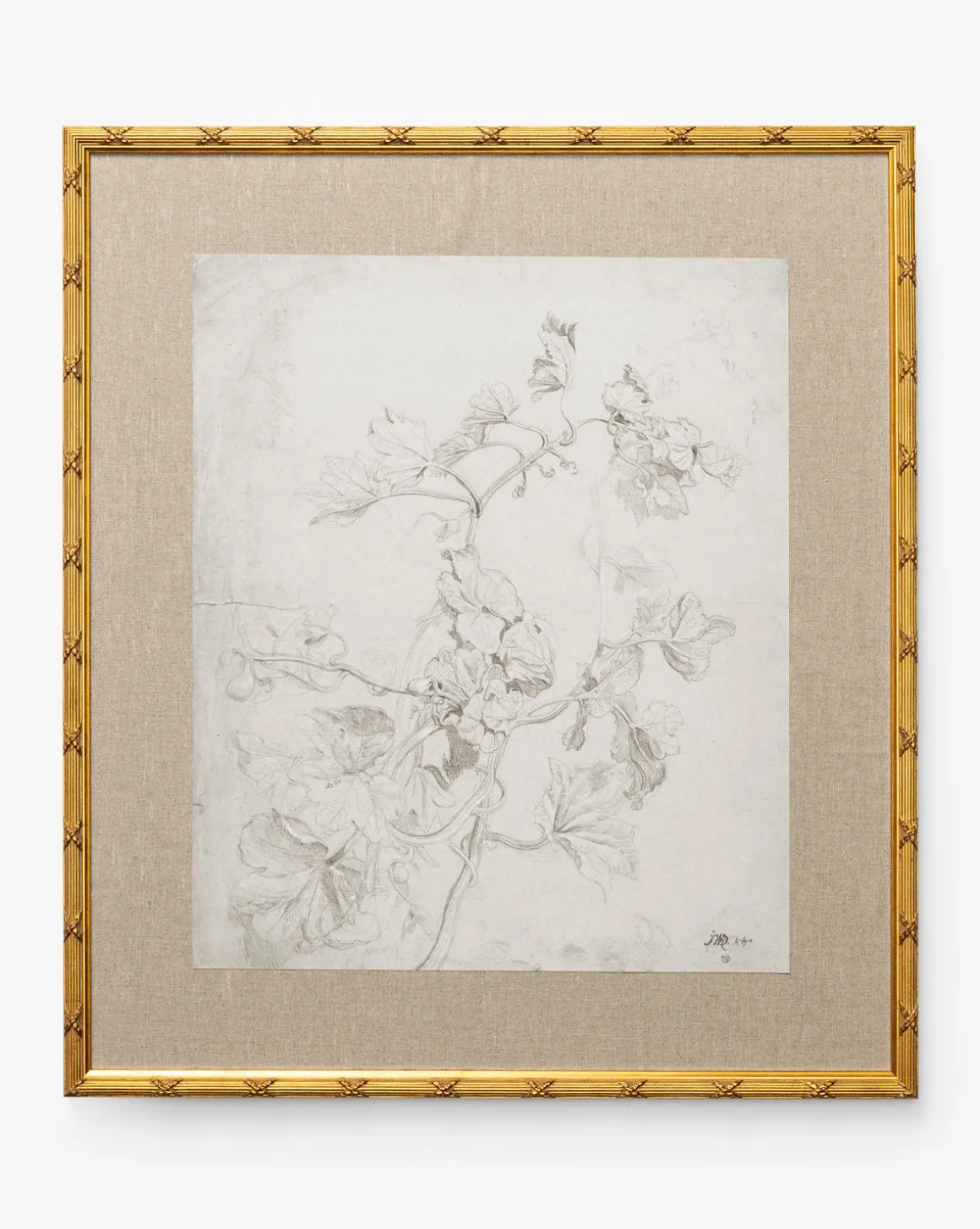 Feathery Floral