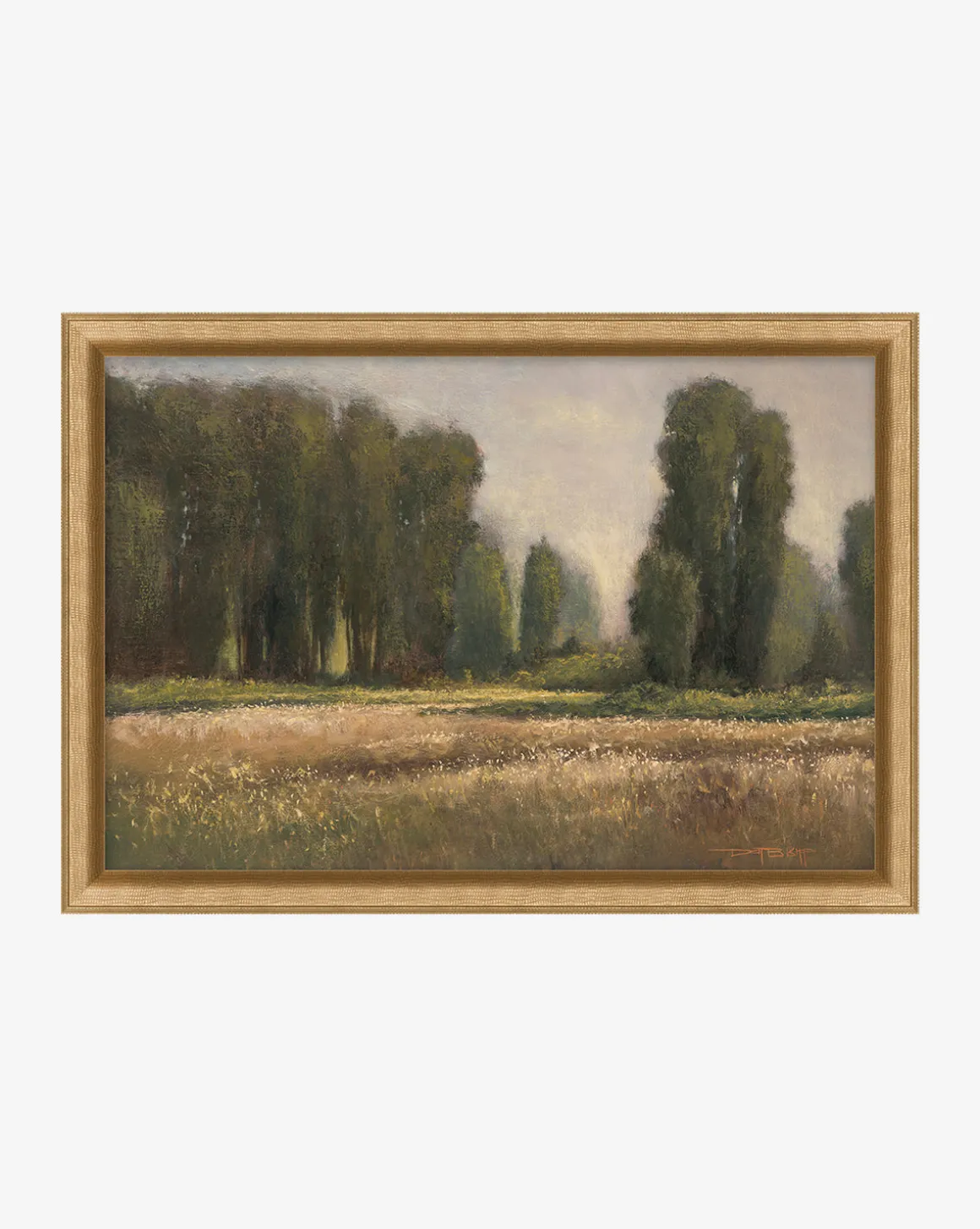Field in Summer