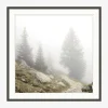 Foggy Mountain I