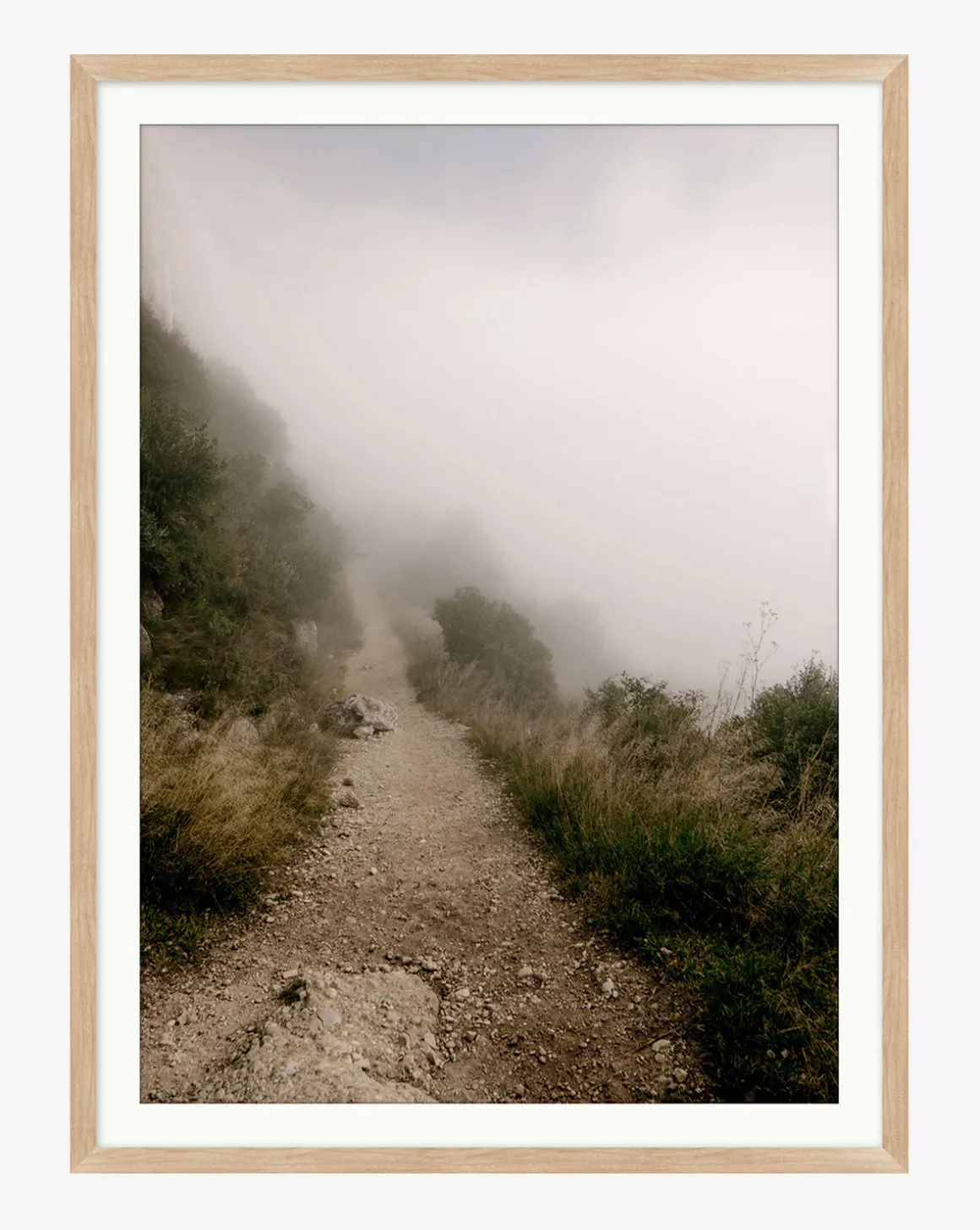 Foggy Path