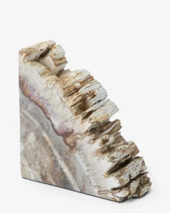 Fossilized Wood Bookends (Set of 2)