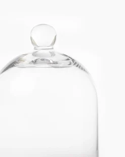 Glass Cloche