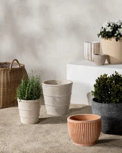 Halston Cement Planter