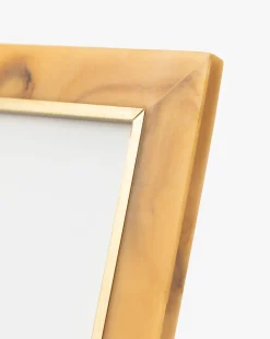 Horn Design Frame