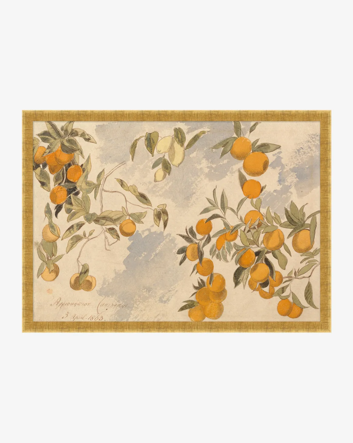 Lemons & Oranges