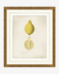 Lemon Study