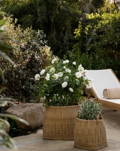 Lightwash Handled Planter Basket