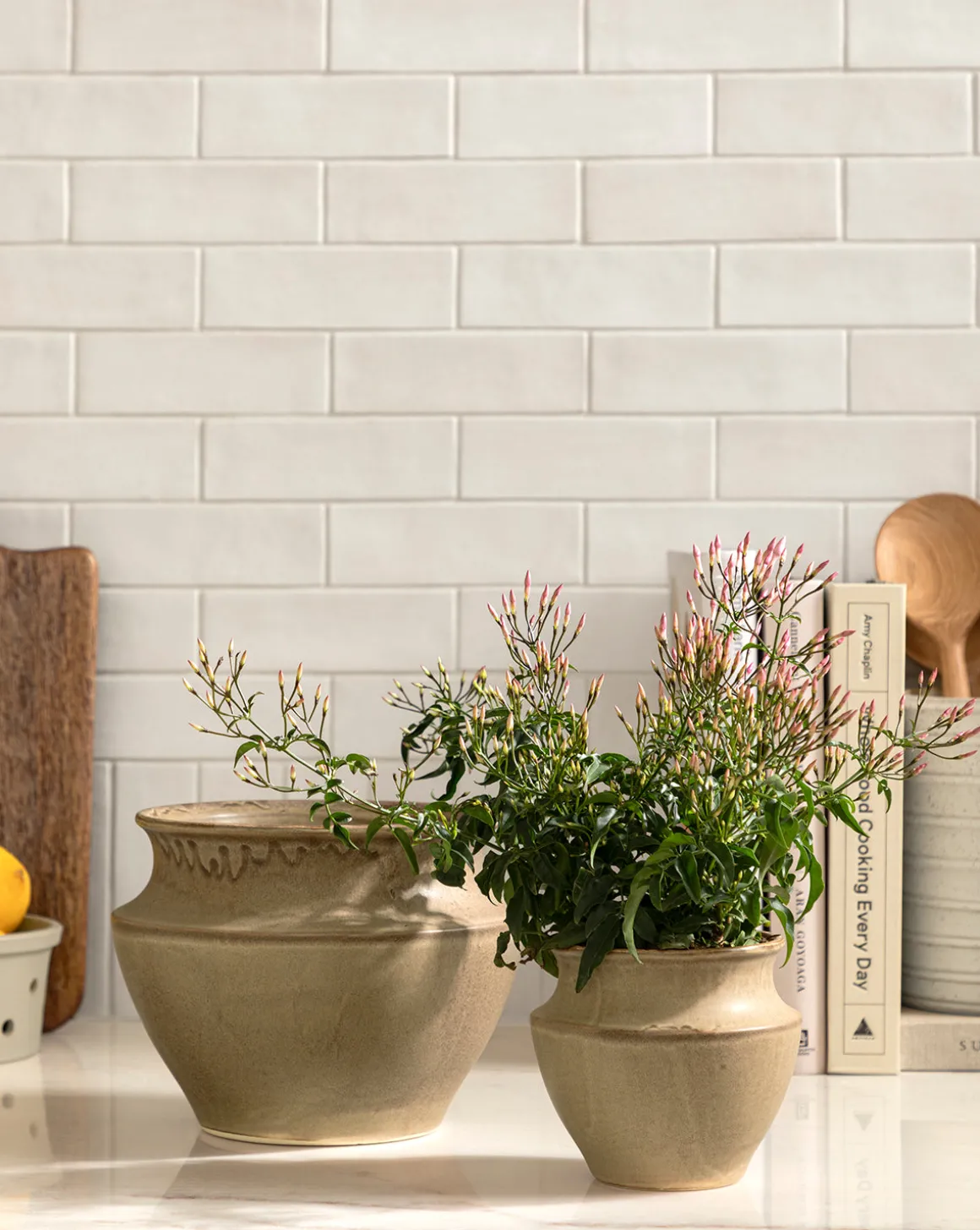 Liora Pot