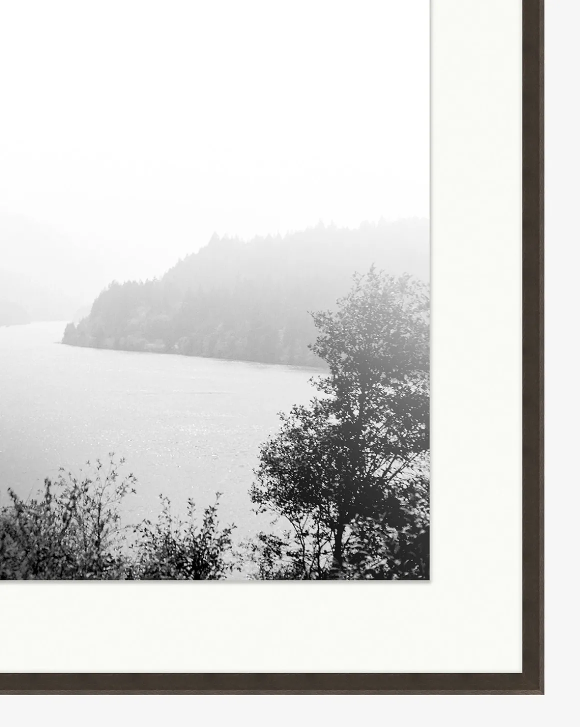 Mist on the Lake