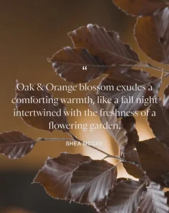 Oak & Orange Blossom Candle