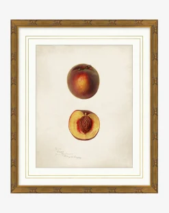 Peach Study