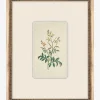 Petite Floral IX