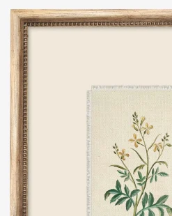 Petite Floral IX