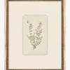 Petite Floral VII