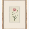 Petite Floral VIII