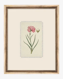 Petite Floral VIII