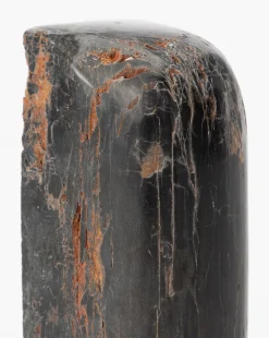 Petrified Wood Bookends (Set of 2)