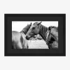 Photograph of Horses by Stokley Berg