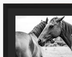 Photograph of Horses by Stokley Berg