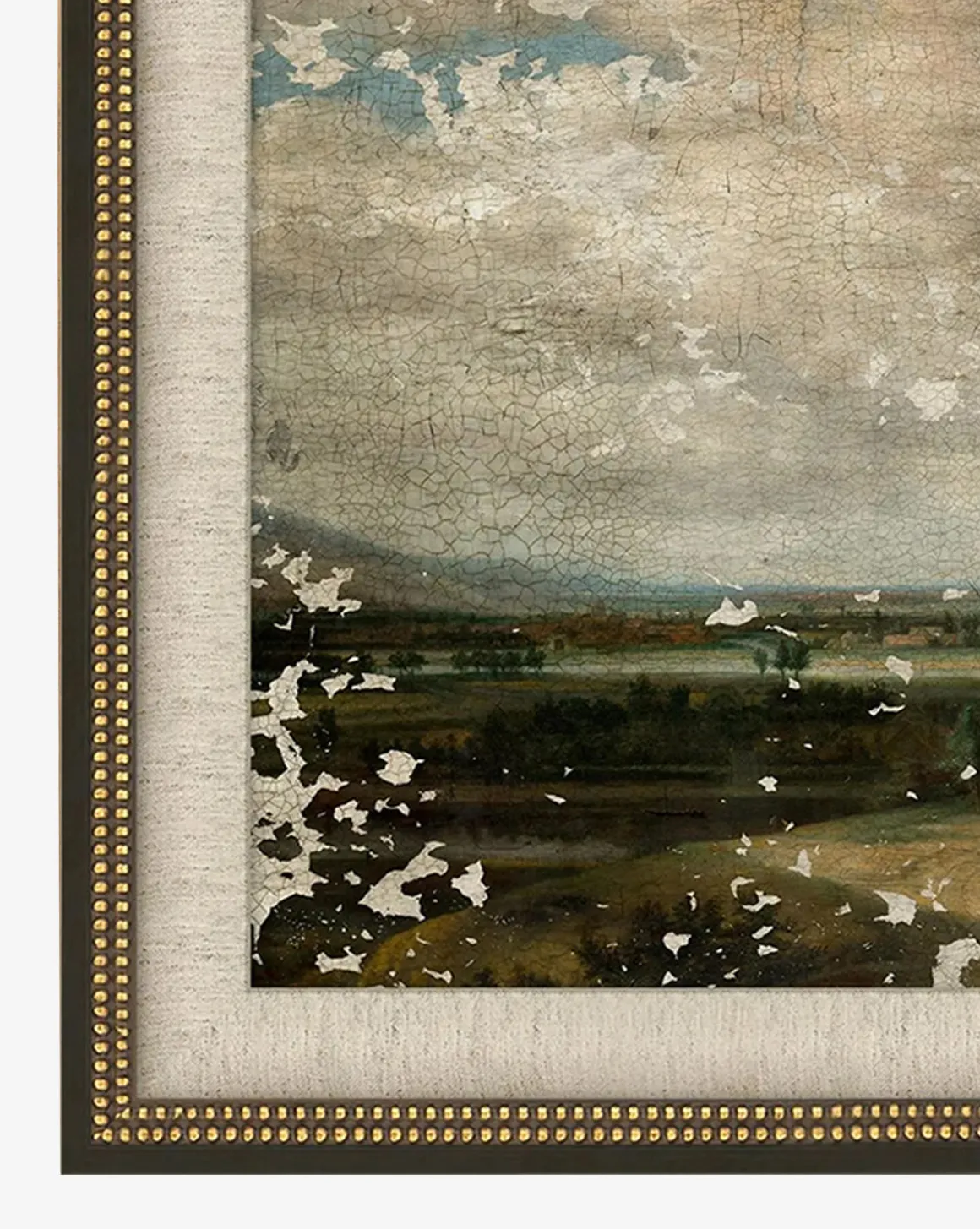 Roaming Fields